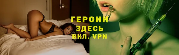 сатива Новокубанск