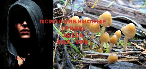 марки nbome Алзамай